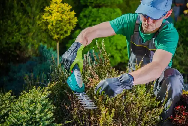 landscaping services Nedrow
